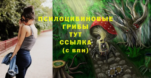 метамфетамин Аркадак
