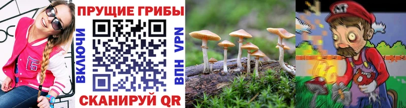 Галлюциногенные грибы мухоморы  Камешково 